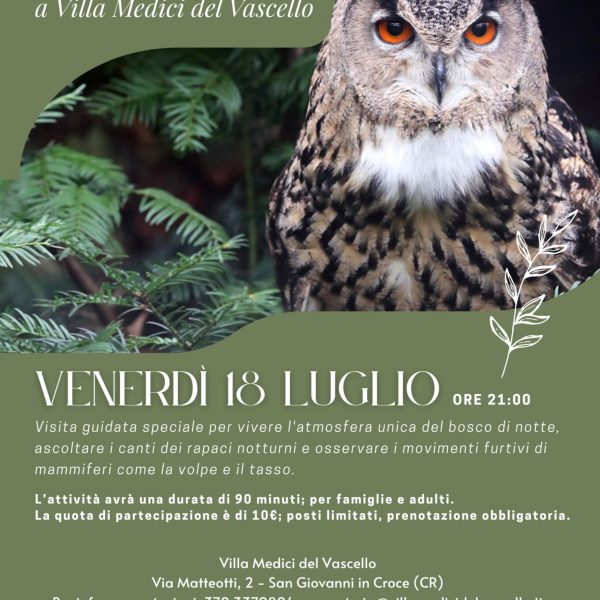 02_TERRAFIUME_Fuorifestival_Locandina A3_SanGiovanniinCroce (1)_page-0001